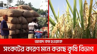 কুষ্টিয়ার খাজানগর মোকামে বেড়েছে ধানের দাম | DBC NEWS