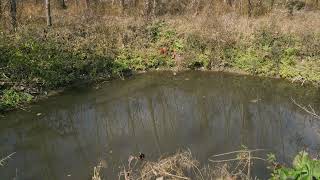 Virtual Field Trip : Eco-belt near Yongdam Dam