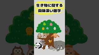 【新発見】驚きの生き物＆雑学TOP5！【第42弾】