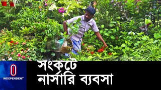 মহামারিতে থমকে গেছে চারা বিক্রি, লোকসানে উদ্যোক্তারা || [Nursery business at crisis]