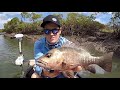 Mangrove Jack Fishing | We had to grind for these fish!