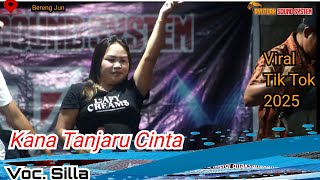 KANA TANJARU CINTA~ BY SILLA WEDDING PARTY~ LARA & MELGI~ DIDESA BERENG JUN REMIX TERBARU