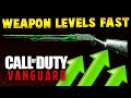 Fastest Way To Level Weapons - Call of Duty Vanguard Zombies (Gun XP Fast)