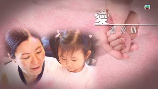TVB 星期日檔案｜愛濃於血(繁／簡字幕)｜ 無綫新聞｜ TVB News