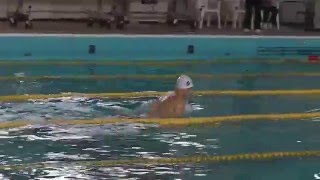 2016 日本マスターズ水泳　短水路　金沢　大会　鰹競泳会　勝尾　100m平泳ぎ