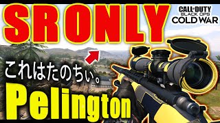 【COD:BOCW】SR練習にはもってこい!!!『SNIPERS ONLY MOSHPIT』が楽しすぎる!!!【カルミア】