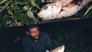 തങ്കപ്പൻ ചേട്ടന്റെ  കിടിലൻ മീൻ പിടുത്തം  .🐠🐠