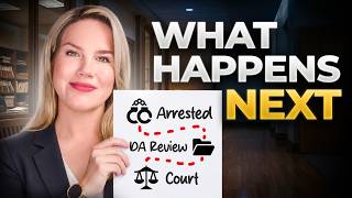 DV Arrest Survival Guide: Know These 3 Things Before Court