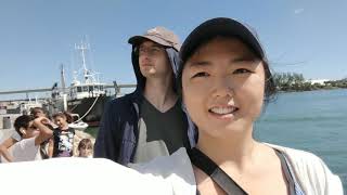 Miami travel Vlog 迈阿密四天三夜逛市中心和南沙滩 2018.10