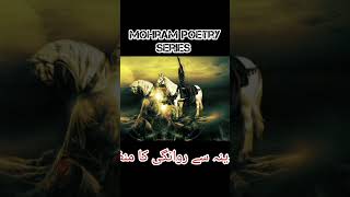 mohram poetry series#waseembadami #youtubeshorts#shanehussain