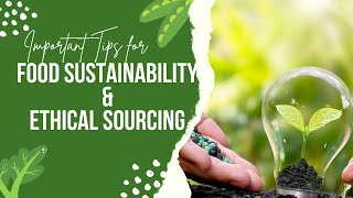 All You Need To Know About Food Sustainability