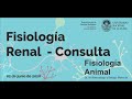 2020 06 02 - Consulta Fisiología Renal Completa