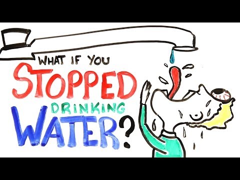 What If You Stopped Drinking Water? What If You Stopped Drinking Water?