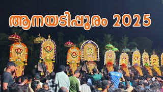 ആനയടിപ്പൂരം 2025    l  Anayadi pooram  2025