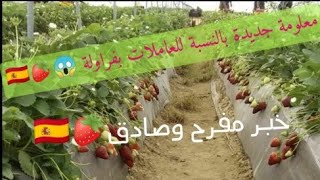 دخلو تشوفو!!🇪🇦(خبر مفرح🍓...) 🍓🍓