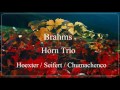 brahms horn trio op. 40 d. hoexter g. seifert n. chumachenco