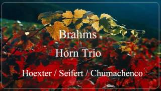 Brahms- Horn Trio Op. 40 (D. Hoexter / G. Seifert / N. Chumachenco)