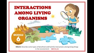 harmful and beneficial interactions among living things