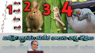 మిక్కిలి జ్ఞానము కలిగిన  నాలుగు చిన్న జీవులు ||  Bro.D.Haribabu ||