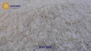 Gạo ST24 - Louis Rice