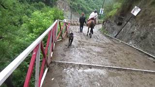 Rare View of Yamunotri Way Yamunotri Uttrakhand Char Dham Yatra 2022