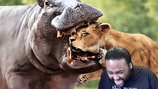 Animals That Messed With The WRONG Opponent | Reaction