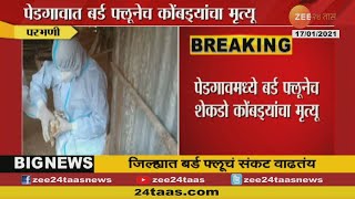 Parbhani Lots Of Hens Dead In Pedgaon Due To Bird Flu