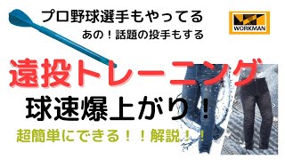 山本由伸選手を育てたジャベリックスロー初心者用解説