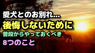 愛犬とのお別れ、後悔しないために普段からやっておくべき８つのこと