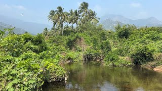 Kadayanallur To Kallaru River