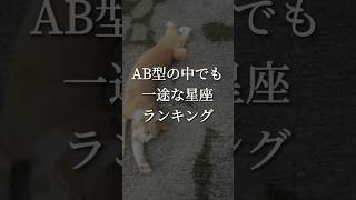 AB型の中でも一途な星座ランキング。#恋愛占い #恋愛診断 #恋愛運 #血液型占い #星座占い #shorts