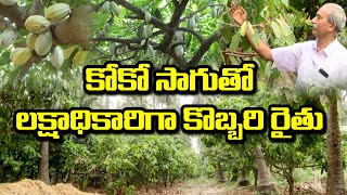 ఒకసారి నాటితే 35 ఏళ్లు దిగుబడి || కోకో పంట సాగుతో లక్షాధికారిగా కొబ్బరి రైతు ||  Karshaka Mitra