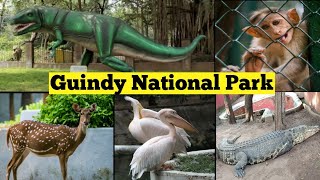 Guindy National Park | Children's park Chennai | Snake park Chennai | Guindy park review