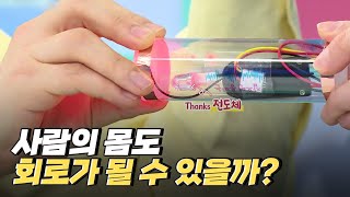 [핫클립] 사람의 몸은 전기가 통하는 전도체일까? / YTN 사이언스