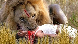 Lion Attack Man in Forest || Lion Attack Hunter || Lion Attack Stories Part-10