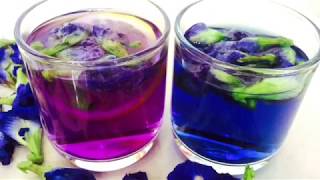 COLOR CHANGING BUTTERFLY PEA FLOWER TEA