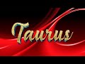 TAURUS OCTOBER 2024 SOMEONE WILL TAKE A HIDDEN TRIP TO WANT TO MEET YOU TAURUS TAROT LOVE READING