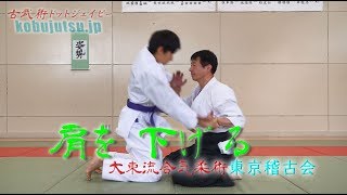 東京稽古会226　肩を下げる　大東流合気柔術