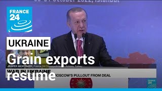 Ukraine grain exports resume as Turkey fights to save deal • FRANCE 24 English