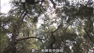 20130927 地理中国 蜀道沧桑（下）