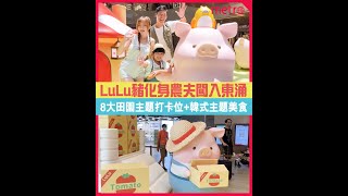 LuLu豬化身農夫闖入東涌 8大田園主題打卡位＋韓式主題美食