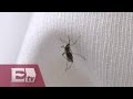 Salud inicia jornada nacional contra Zika, Dengue y Chikungunya / Vianey Esquinca