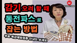 초기감기 동전파스로 확실하게 잡는법과 무료 독감예방접종안내