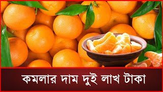 কমলার দাম দুই লাখ টাকা || Orange || Orange Auction || NAN TV