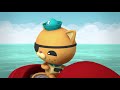 #StayHome Octonauts - Gobblefish!  Compilation  Cartoons for Kids