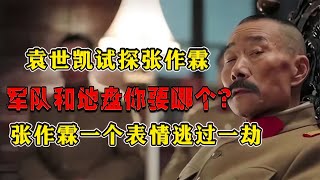 袁世凱試探張作霖：軍隊和地盤你要哪個？張作霖一個表情逃過一劫 #紀錄片 #四處觀察 #地理知識 #愛情 #搞笑