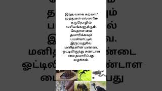 வசியக் கற்கள்!\