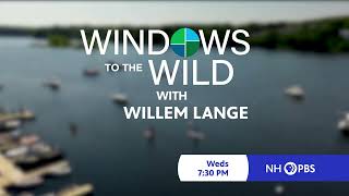 Windows to the Wild | Paddling the Saco