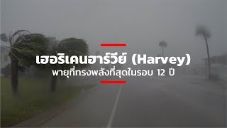 เฮอริเคนฮาร์วีย์ (Harvey) พายุที่ทรงพลังที่สุดในรอบ 12 ปี