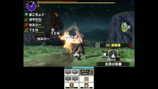 【MHX】(特殊許可)黒炎王リオレウス Lv6